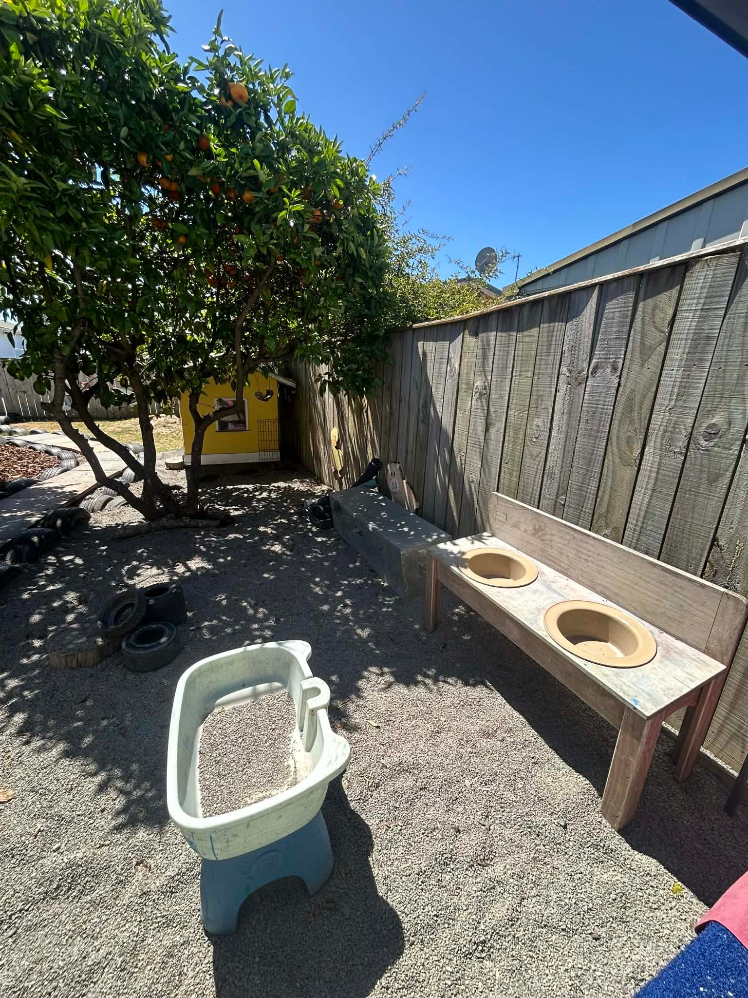 Children discovering and playing at Little Kiwi Explorers